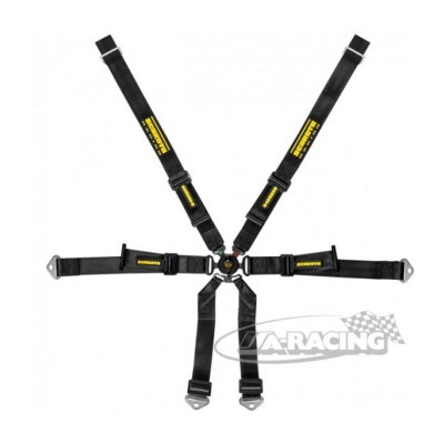 Schroth Profi Porsche 991 2x2