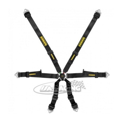 Schroth Profi 2x2 pull up Sicherheitsgurt