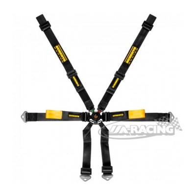 Schroth Enduro Porsche 991/981 2x2