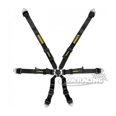 Schroth Flexi 2x2 Sicherheitsgurt