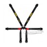 Schroth Formula 2x2 Sicherheitsgurt