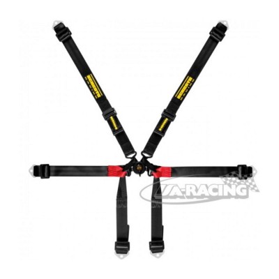 Schroth Formula 2x2 Sicherheitsgurt