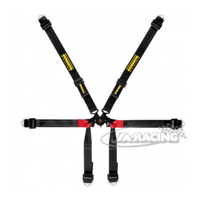Schroth Formula 2x2 Sicherheitsgurt