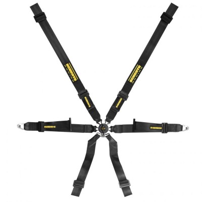 Schroth Profi XLT 2x2 pull up Sicherheitsgurt
