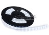 Versoflor LED Kit cool white 6764-5